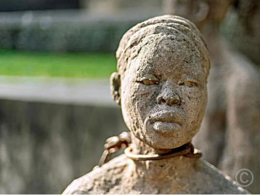 dasatabirudha diwash