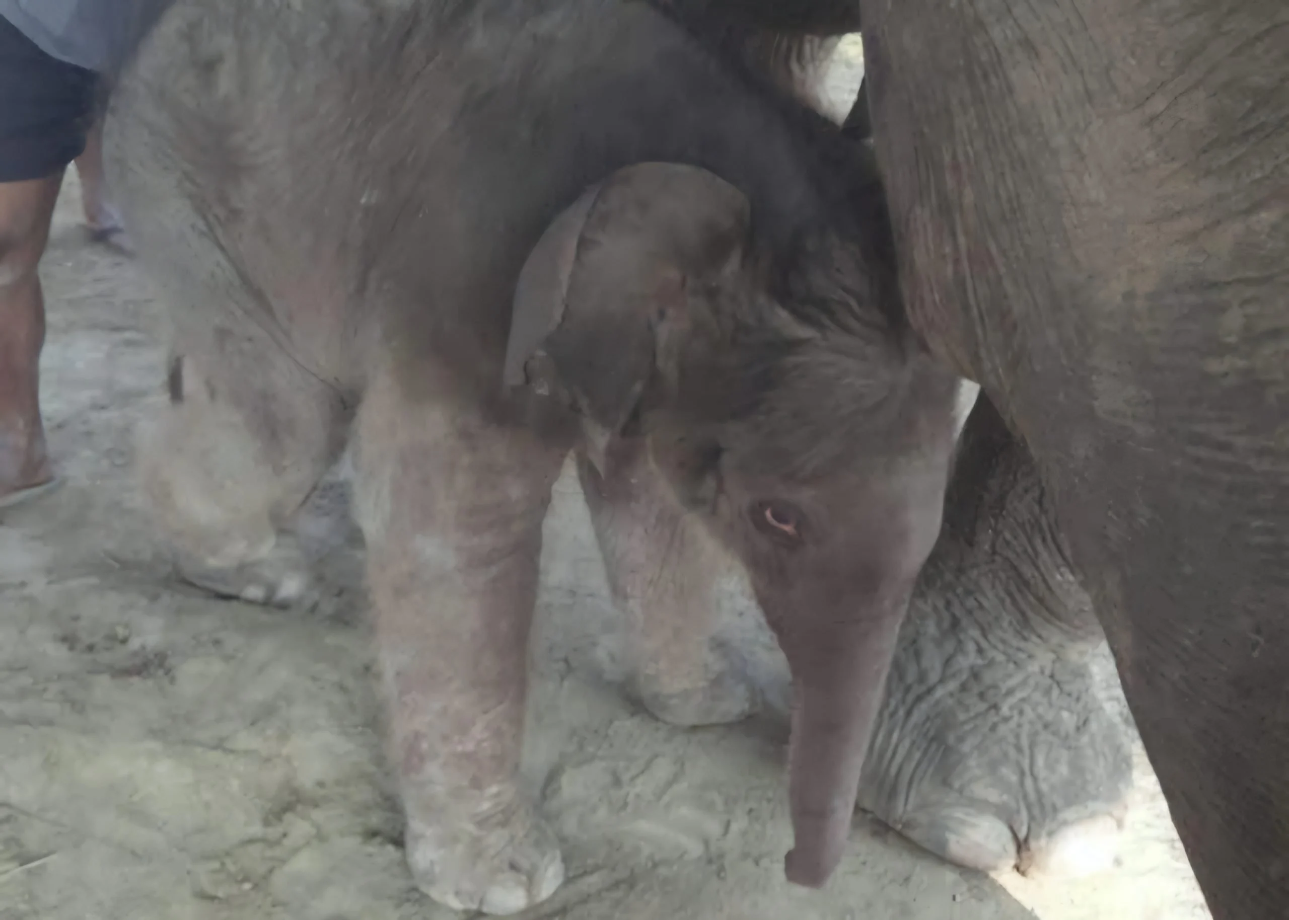 whatsapp image 2025 03 22 at 9.45.42 am scaled