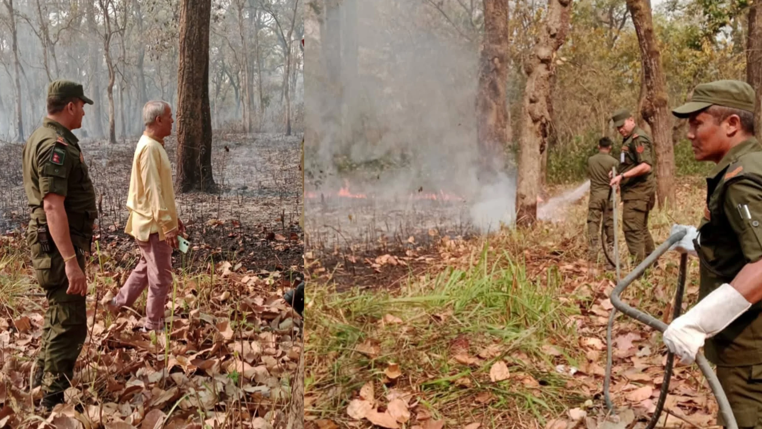 incollage 20250401 161345134